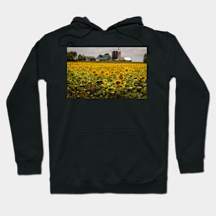 Field Of Sunflowers Hoodie